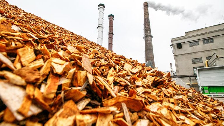 Pile of wood chippings